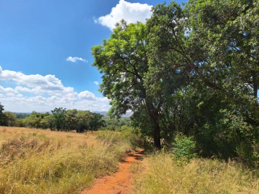 Commercial Property for Sale in Buffelshoek AH North West